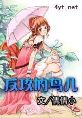 反攻的鳥兒/囧囧鳥事