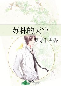 蘇林的天空