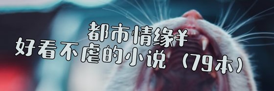 都市情緣￥好看不虐的小説（79本）